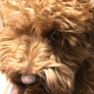 Meet your Posher, Erika